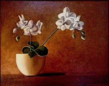 Orchid